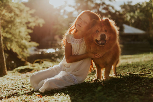 5 Common Pet Feeding Mistakes and How to Avoid Them