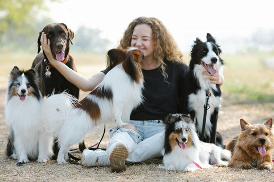 Why Filtered Bowls Are Essential for Your Dog’s Health