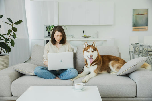 Why Big Dogs Need Big Bowls: Choosing the Right Size for Your Pet