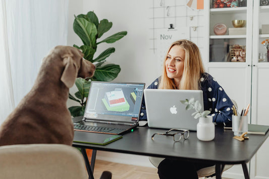 How Anti-Spill Bowls Compare to Regular Dog Bowls
