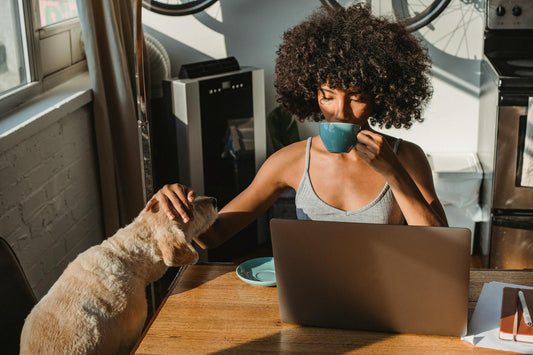 5 Reasons Why Every Dog Needs a Spill-Proof Bowl