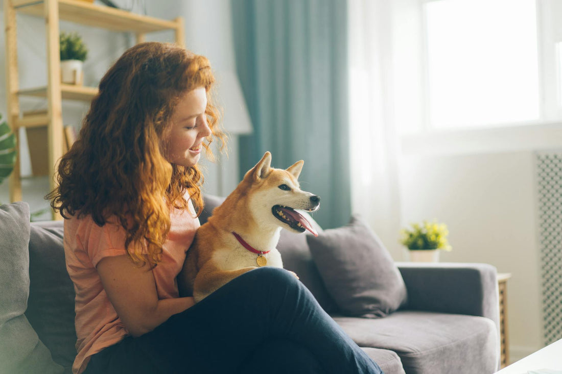 10 Surprising Facts About Hydration for Dogs