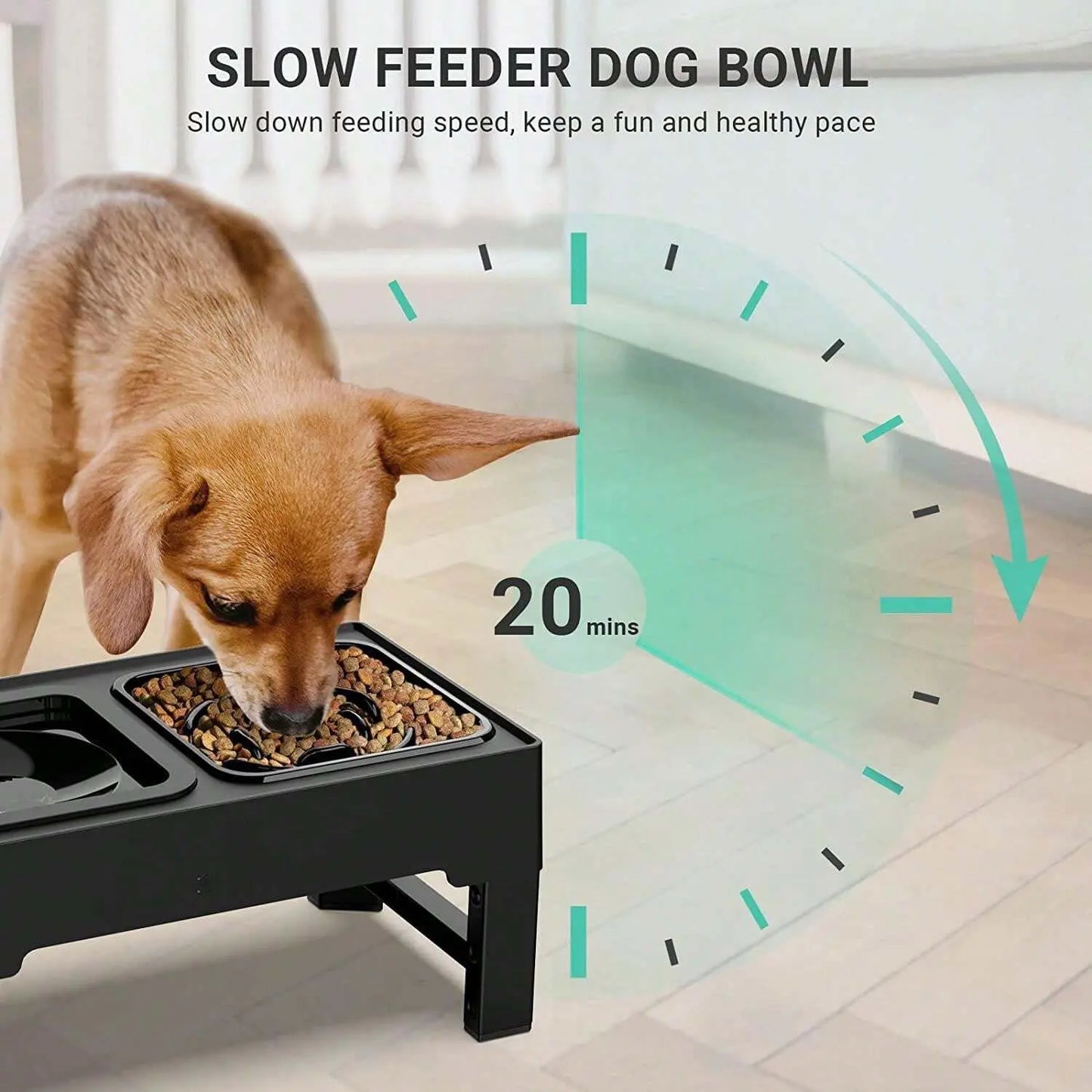 PetX™ Adjustable Elevated Dog Bowl - Zero Splash  & Slow Feeder PetX™