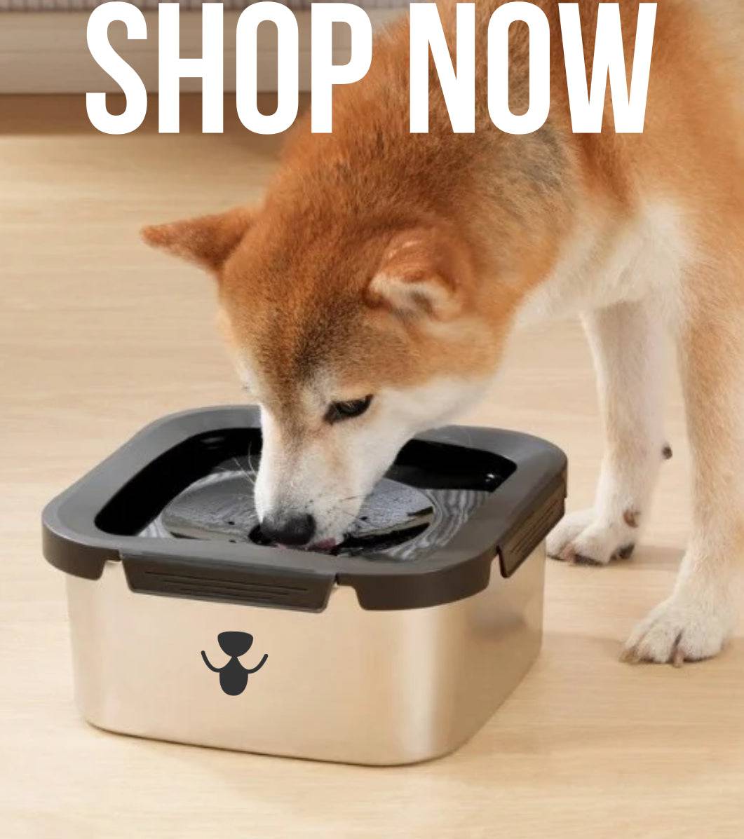 PetX™ AquaGuard 4.5L Spill-Free Dog Water Bowl